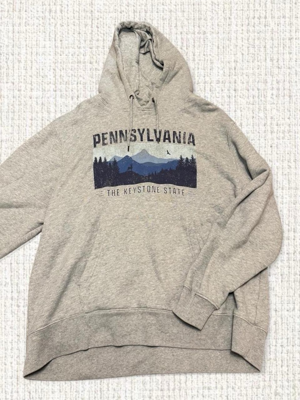 State of Mine Pennsylvania “The Keystone State” pullover hoodie in heather gray
